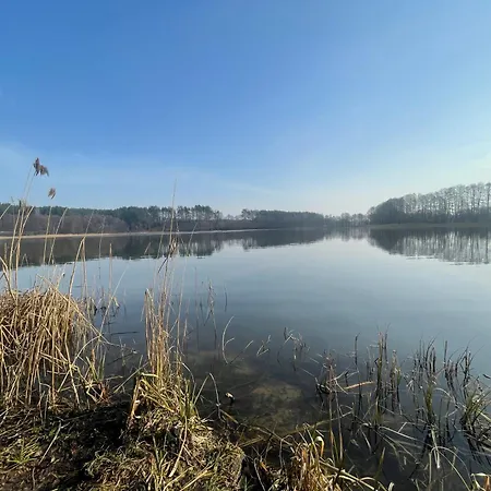 别墅 Kaszubskie Dzikie Katy