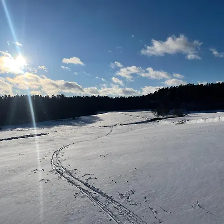 Villa Kaszubskie Dzikie Katy