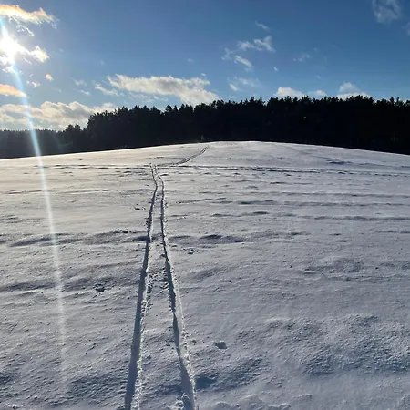 Kaszubskie Dzikie Katy Villa Piechowice (Koscierzyna)