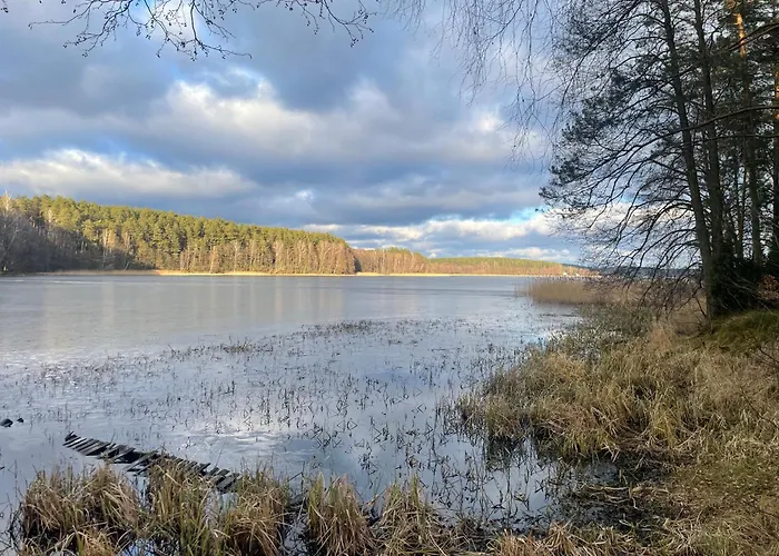 Kaszubskie Dzikie Katy Villa *
