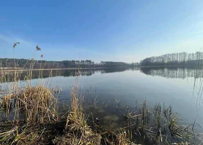 Villa Kaszubskie Dzikie Katy