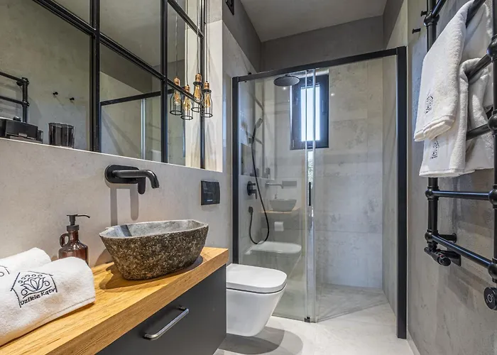 Villa Kaszubskie Dzikie Katy Piechowice (Koscierzyna)