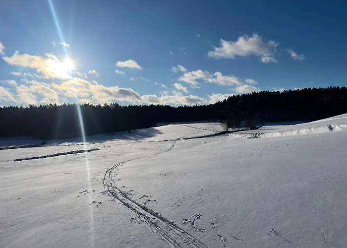 Villa Kaszubskie Dzikie Katy