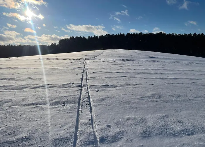 Kaszubskie Dzikie Katy Villa Piechowice (Koscierzyna)